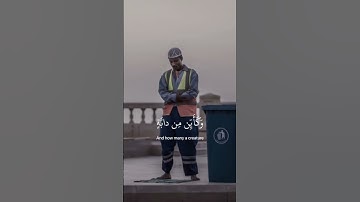 ﴿ الَّذِين صَبرُوا وَعلَى رَبهِم يَتوَكلُون ﴾ سوره النحل، عبدالرحمن مسعد #قرآن #ارح_قلبك #قران_كريم