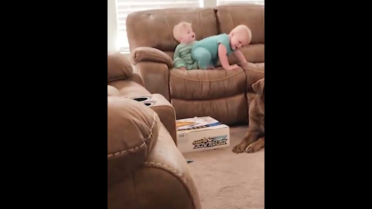 Baby Booty Shake Shorts