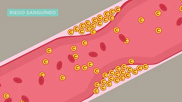 Quanto costa una confezione di Danacol?
