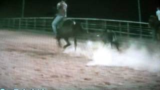 roping horse for sale: cowboy