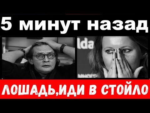 5 минут назад / "Лошадь, иди в стойло" - Домогаров "размазал" Собчак и её маму