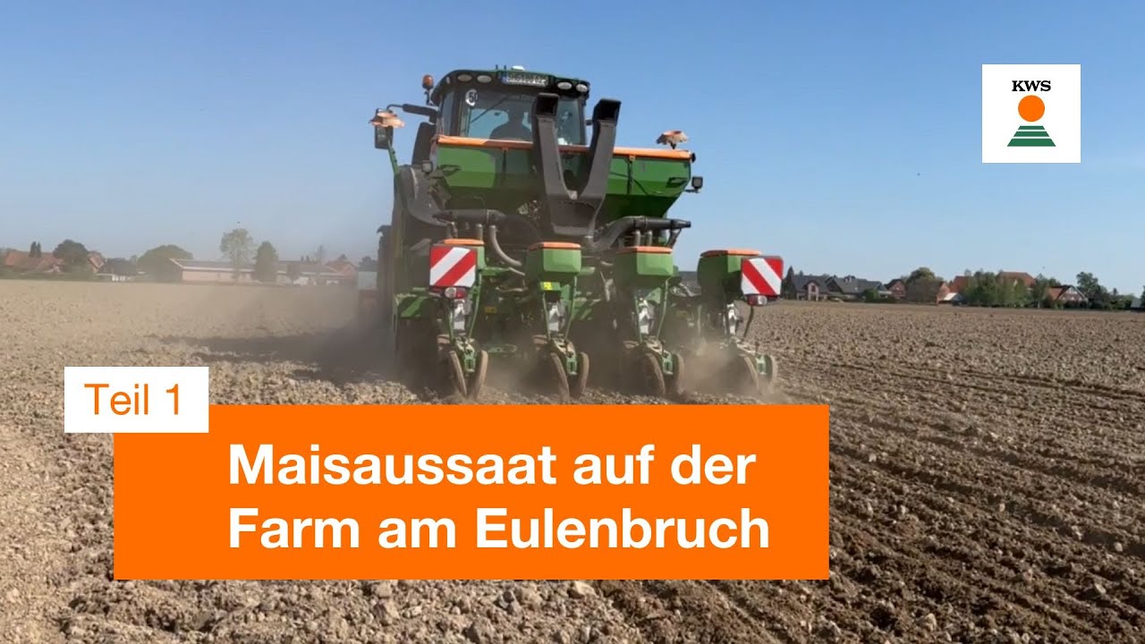 Maisaussaat auf der Farm am Eulenbruch