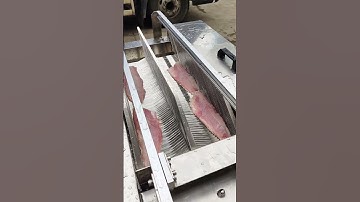 Snakehead fish slicer for factory