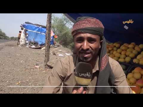 تعز... استمرار حصار المليشيا يتسبب بتكدس فاكهة المانجو وتراجع الإقبال عليها | تقرير: إبراهيم سعيد