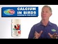 Calcium in Birds
