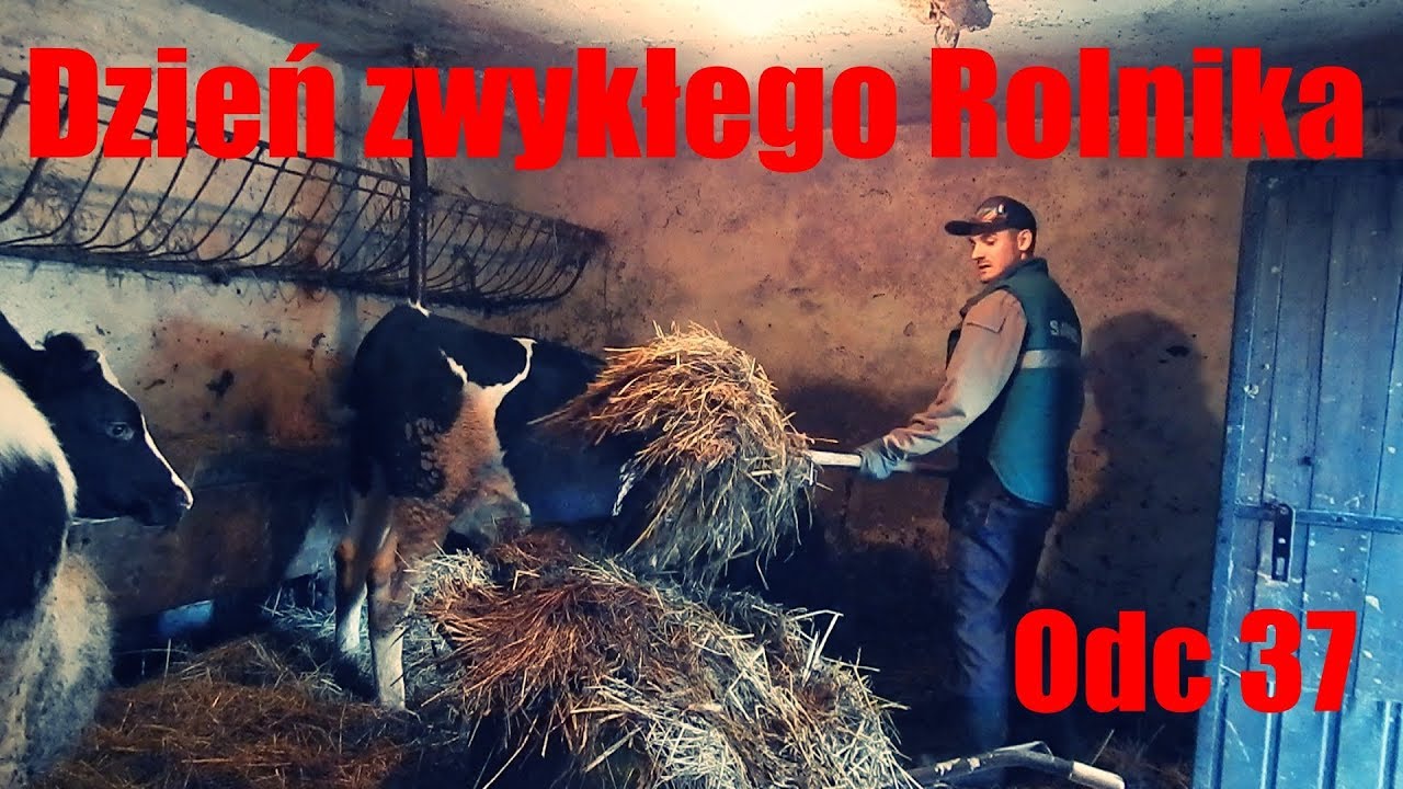 Dzień zwykłego Rolnika odc 37