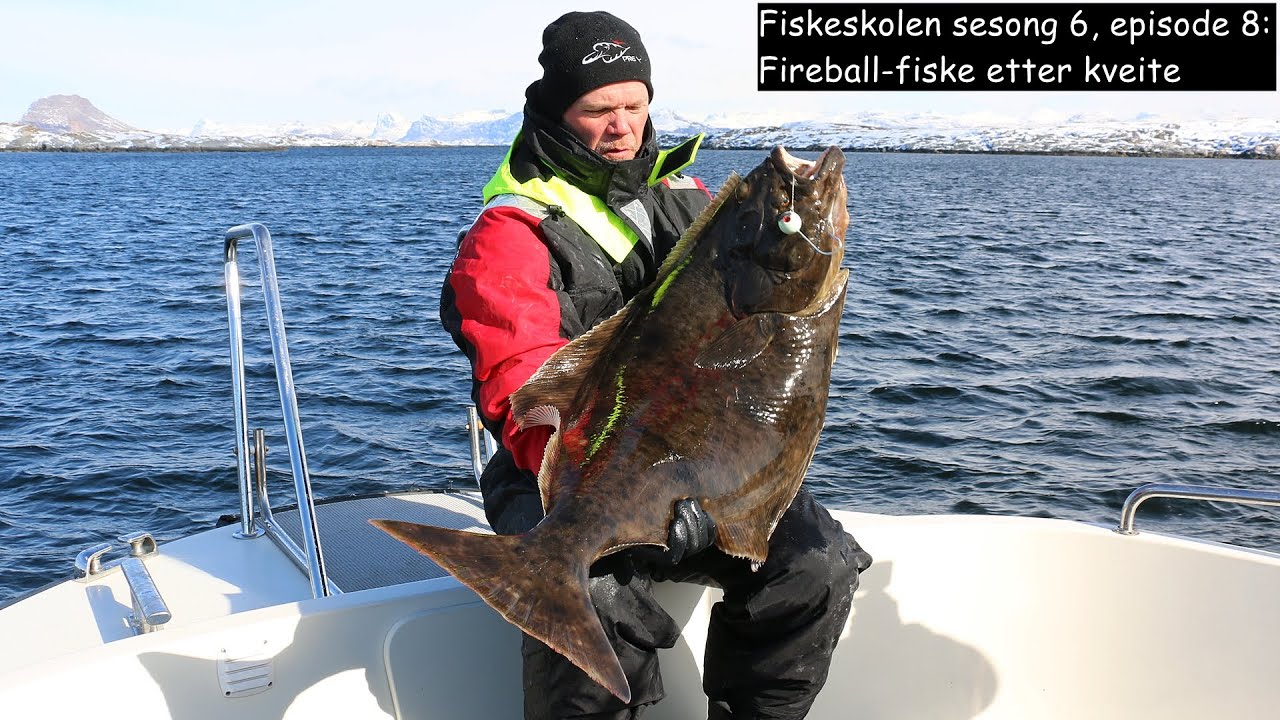 Fiskeskolen sesong 6, episode 8: Fireball-fiske etter kveite