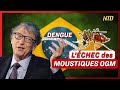 Épidémie de dengue au Brésil ; Colère des agriculteurs en Pologne | NTD L’Actu