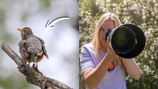 Spring Bird Photography - Sigma 150-600mm | Canon M50 Nature Photo Walk
