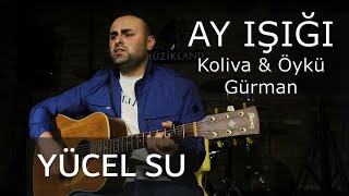 Ay Işığı [Koliva & Öykü Gürman] - Yücel Su [Akustik Kayıt] Resimi