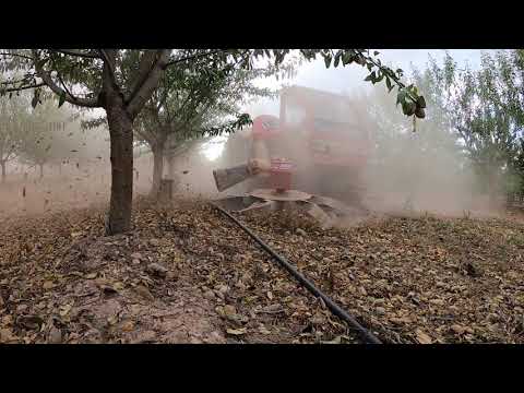 Ramasseuse X16 pour Amande / Cosechadora de Almendra / Almond harvester / ნუშის მოსავალს AMB Rousset