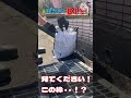 ドブ掃除・裏ワザ