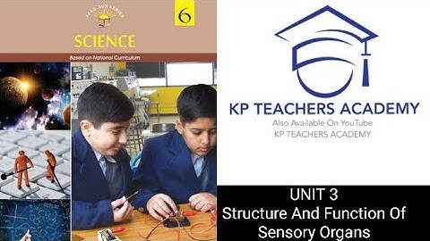 Science Class 6 structure and Function Of sensory Organs
