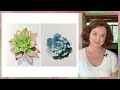 Watercolor succulents // Watercolor Techniques Explained