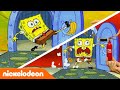 SpongeBob Schwammkopf | Spongebob zieht aus | Nickelodeon Deutschland