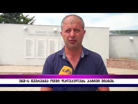 ენმ–ს წევრებმა ომში დაღუპულებს პატივი მიაგეს