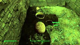 Fallout 4 Hover glitch!
