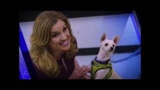 WGN-TV Alyssa Donovan Promo 2024