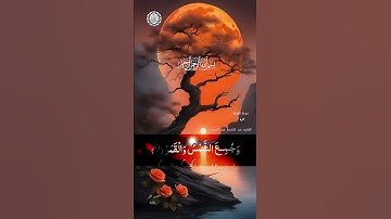 بسم الله الرحمن الرحيم   🌿 تلاوة ماتيسر من سورة القيامة الاية 7🕌