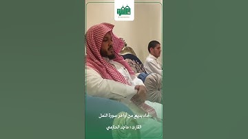 القاري ماجد الحازمي - ماتيسر من سورة النمل