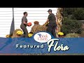 York County's Featured Flora - Putting Up Fall Displays Around the County