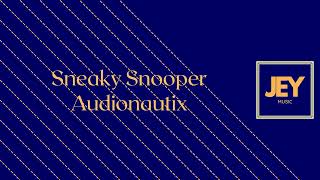 Sneaky Snooper  Nautix  Jey  570