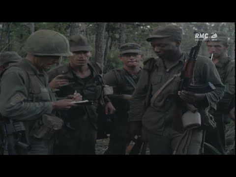 Vidéo: La Guerre Du Vietnam. Le Programme De Recrutement De Soldats Peu Intelligents - Vue Alternative