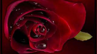 Bir Bulut Olsam - Kina Türküsü - Balalar Icinde Yigit Balası