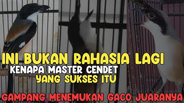 3 Cara Memilih BAHAN CENDET Yang Berkualitas Standard Nasional LOMBA/EVENT/LATBER/LATPRES