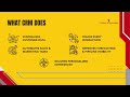 CRM Selection Consulting