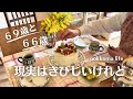 60代vlog||夫の料理/断捨離の逆行/グレーヘア白髪染め/誕生日/失敗の積重ね/ひなまんじゅう/ ミモザの花/スワッグ/My Favorite/Housework vlog/#070