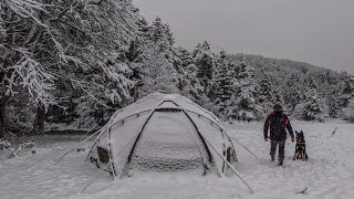 Hot Tent Camping in Heavy Snowfall With My Dog | Winter Camping, Wood Stove, Cold Weather