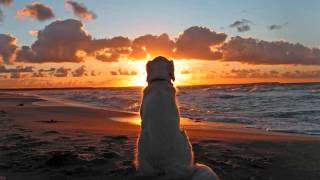 Sunset & Neil Bamford - Belissima (Andy Tau Remix)