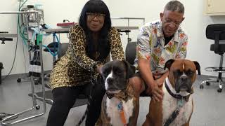 Remedy Success Story: Accessible, Affordable Care for Moses Xander by Atlanta Humane Society 69 views 9 months ago 1 minute, 24 seconds