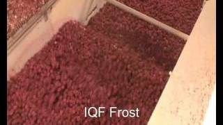 OctoFrost™ Frozen Berries: Raspberries