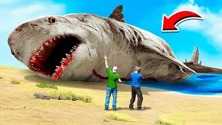 REMOVED ALL THE WATER AND FOUND A HUGE MEGALODON! THE BIGGEST SHARK 🌴 GTA 5 MODS RAYLUKHA