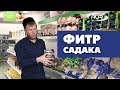 Фитр садака