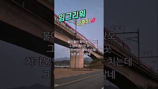 💕물어 물어 찾아온 이곳은? #임그리워  #나훈아 #숲엔햇살 #밝은광장