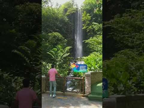 Jurong Birdpark waterfall