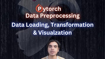 PyTorch Data Preprocessing Step-by-Step: Load, Transform & Visualize