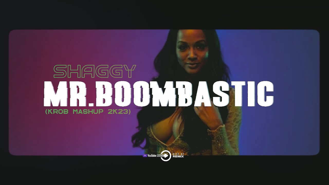 mr boombastic mr shaggy｜TikTok Search