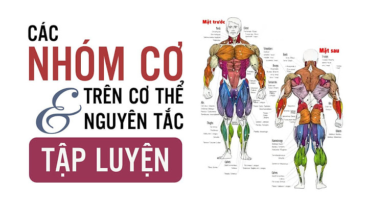 Các bài tập gym cho nam cho các nhóm cơ năm 2024