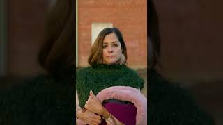 Not Fast Enough. Tales Of The Walking Dead