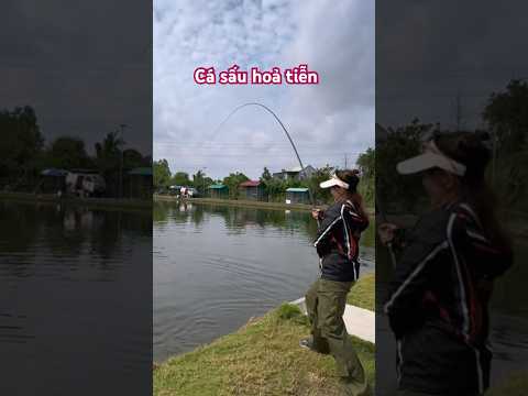 Test cần săn hàng va phải con cá lạ quá #fishing #vyhanfishing #câucá
