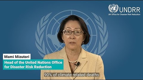 Head of UNDRR