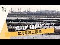 我們的島 綠能的結與解-當光電遇上候鳥(第991集 2019-02-11)