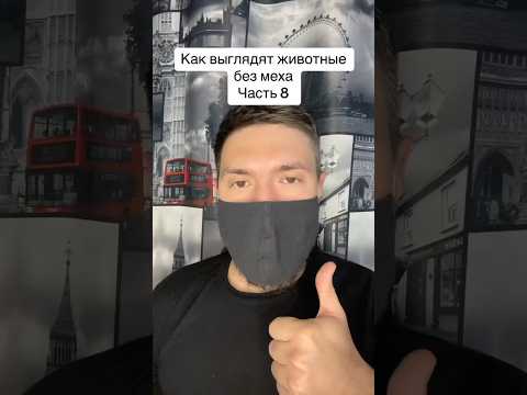 Как выглядят животные без меха Часть 8 #рекомендации #животные #меха #муравьи