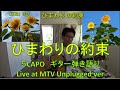 ひまわりの約束 秦基博  ギター  弾き語り MTV Unplugged  Easy Ver  【音リンピック】