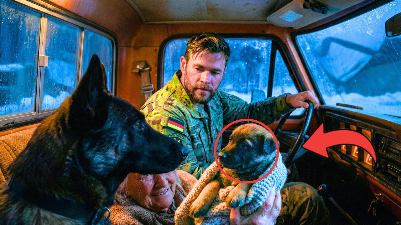 Sein K9 blieb plötzlich stehen  Zwei Frauen erfroren fast im Schneesturm