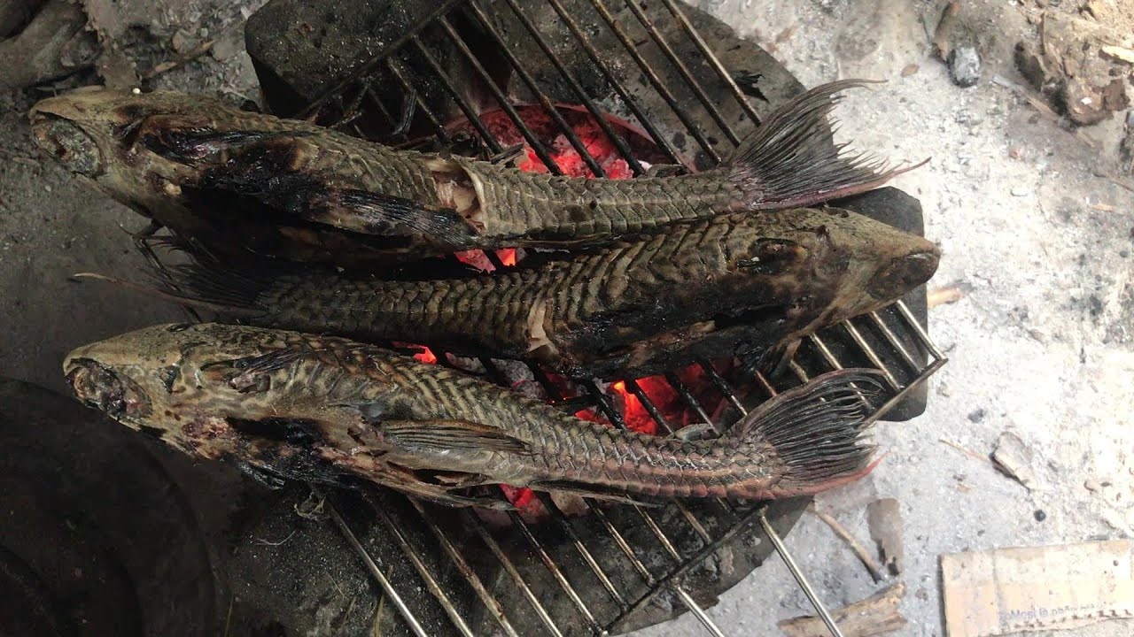 Chú LongVIP ở thủ đô của Angola về VN lâu chưa ta? - 1